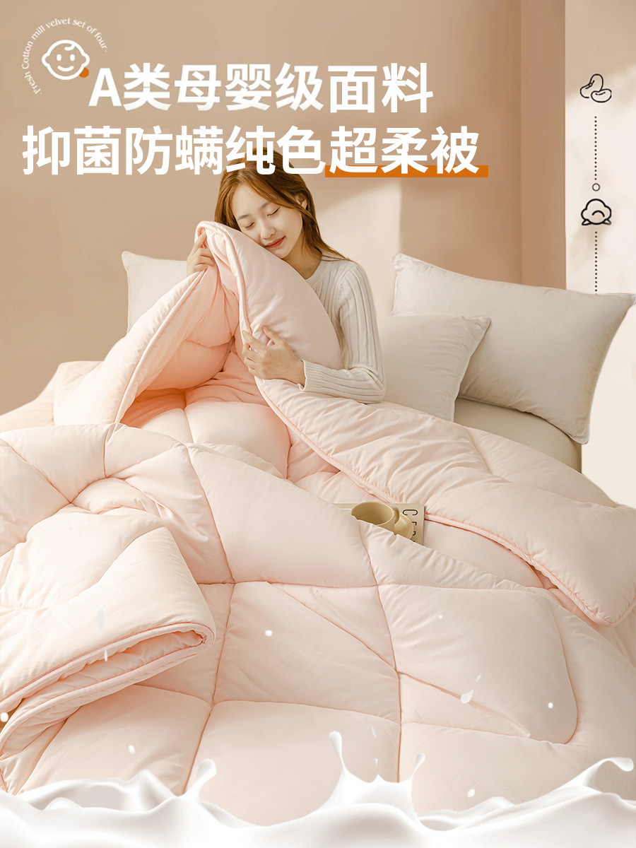 업그레이드된 슈퍼 소프트 항균 단면 이불 라이트 제이드