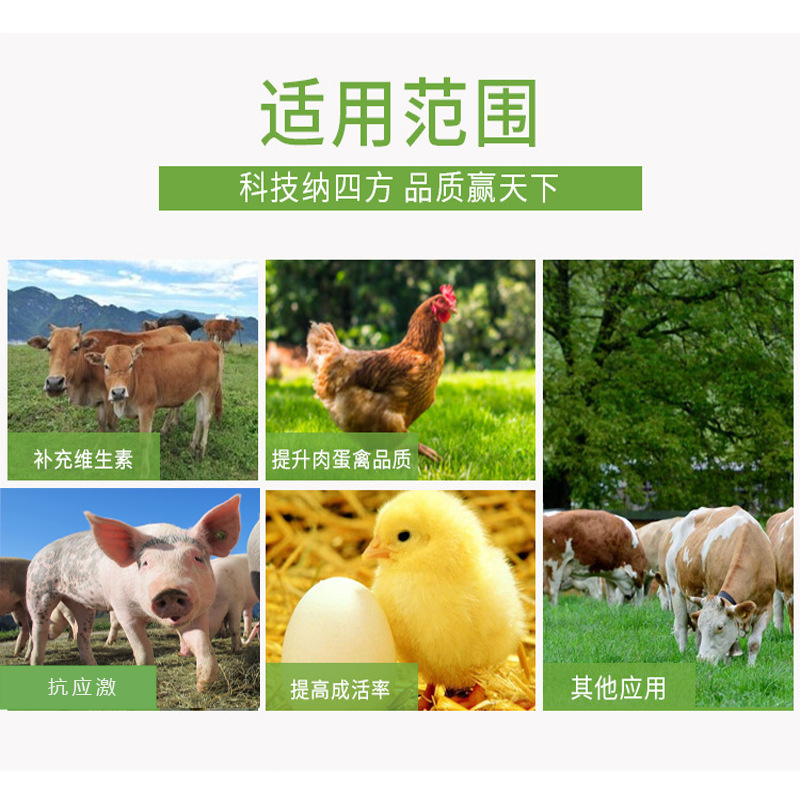 好吸收的黄金多维畜禽宠物饲料添加剂补充复合维生素液体电解多维 阿里巴巴 