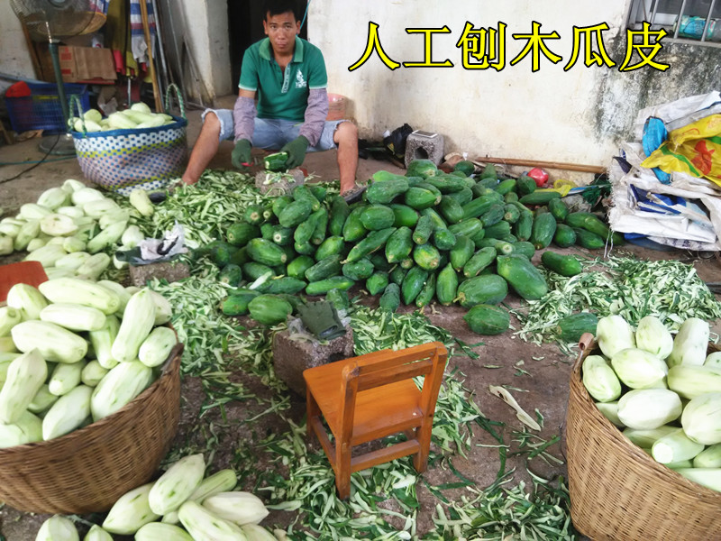 100-2.人工刨木瓜皮8x6.jpg