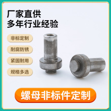 批发304不锈钢铆钉 机械工业紧固件 异形连接件 平头螺丝冷镦处理