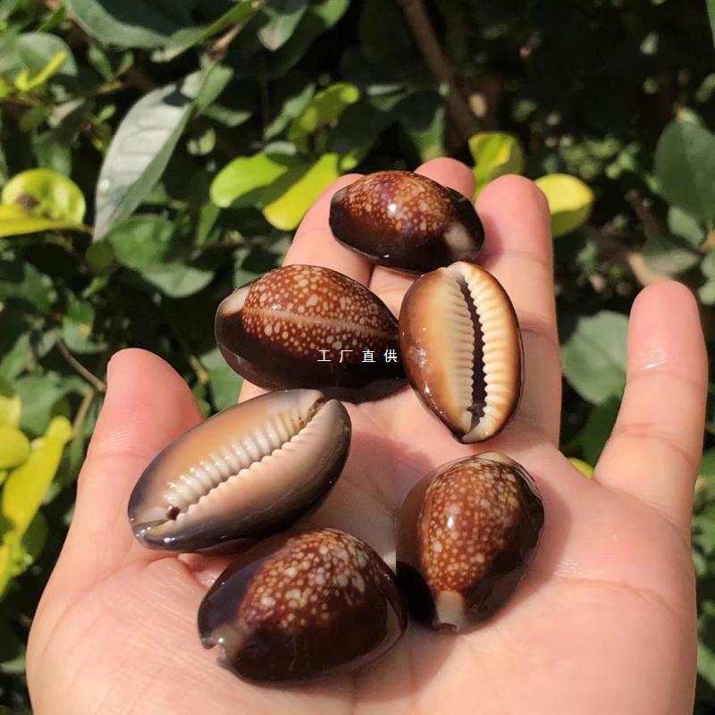 Organic sample