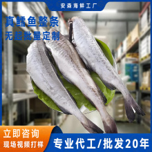 深海鳕鱼冰冻真鳕鱼海鲜鳕鱼片新鲜中段鳕鱼冷冻鳕鱼块鱼肉整条批
