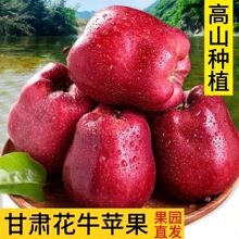 ���ڸ��C��ˮ��ţ�O��9��۴��ɳԿɹ������Fժ�F�l