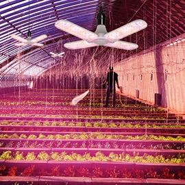 野营/露营灯;太阳能灯;投光灯