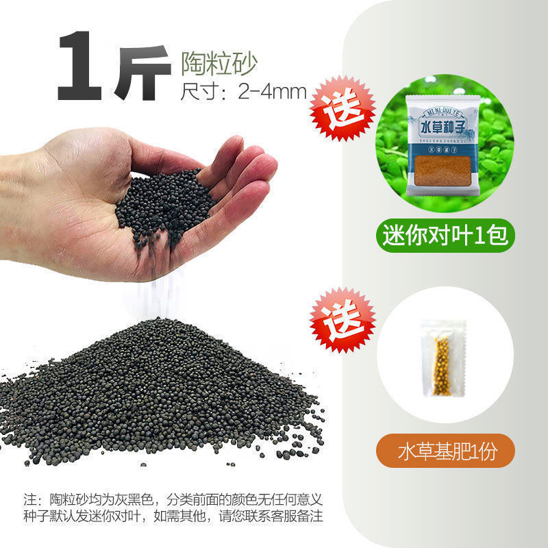 嘘援娉ユ壒鍙戙€愪笉舞枃丸瀀耣ャ€戦櫠绮掔戞枸shoulder a few搴琴爞更曟曟曘昘棌绠 argue