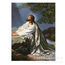 5Dһ��������ʯ���¿���������װ�λ�����ʮ���廨����ʯ��