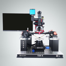 ̨̽քӜyԇAʧЧIVyԇyԇMapping̽