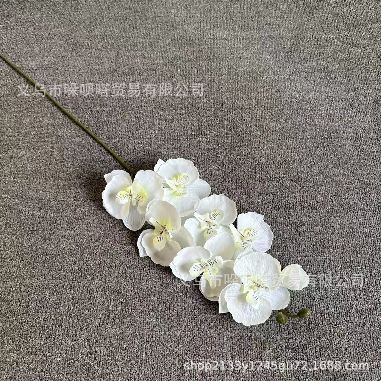 8 실크 호접란-가을 흰색