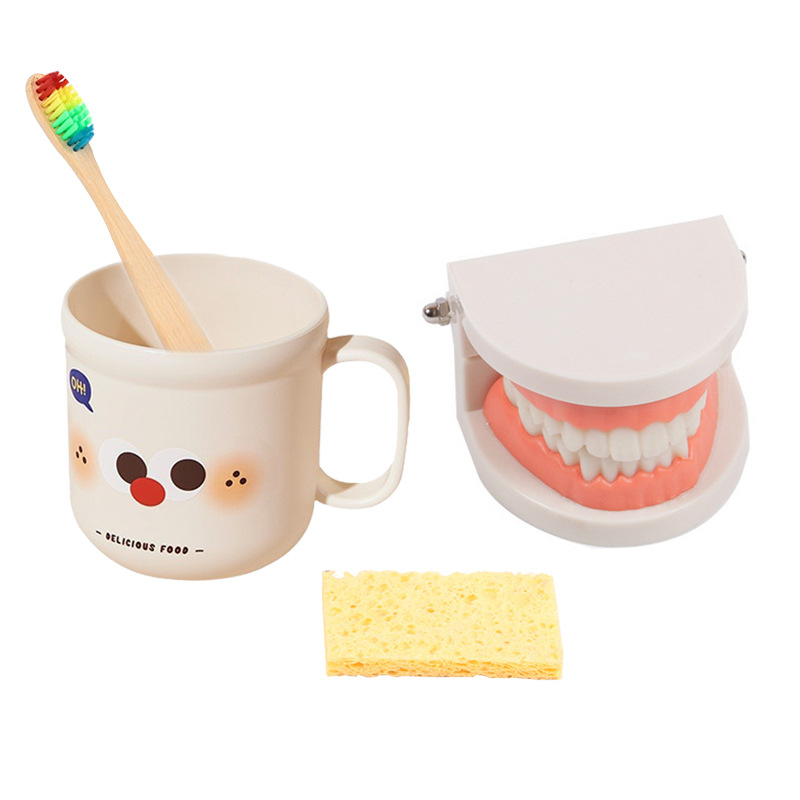 Montessori ayudas didácticas niños cepillado y lavado traje educación temprana juguetes educativos dentadura diente modelo kindergarten dientes cognitivos