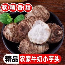 ���xС���^ɽ�|�F�ڬF�u��Ŵë���^�����߲�ţ�����^3/4.5��