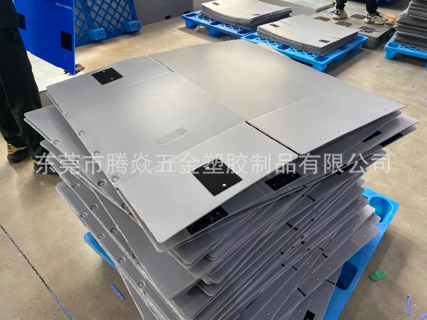 微信图片_20240528153121