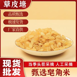 桃胶;莲子;雪燕