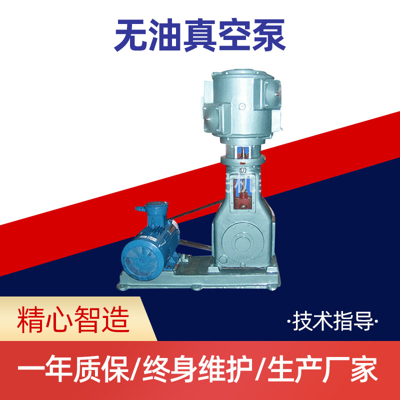 批发供应  WLW-200无油真空泵 蒸发活塞真空泵 电动真空泵维修