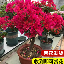 ����÷���Ԏ������Ϙ�ͥԺ�҃����ļ��_���ܾGֲ���ļt�����ٴ���