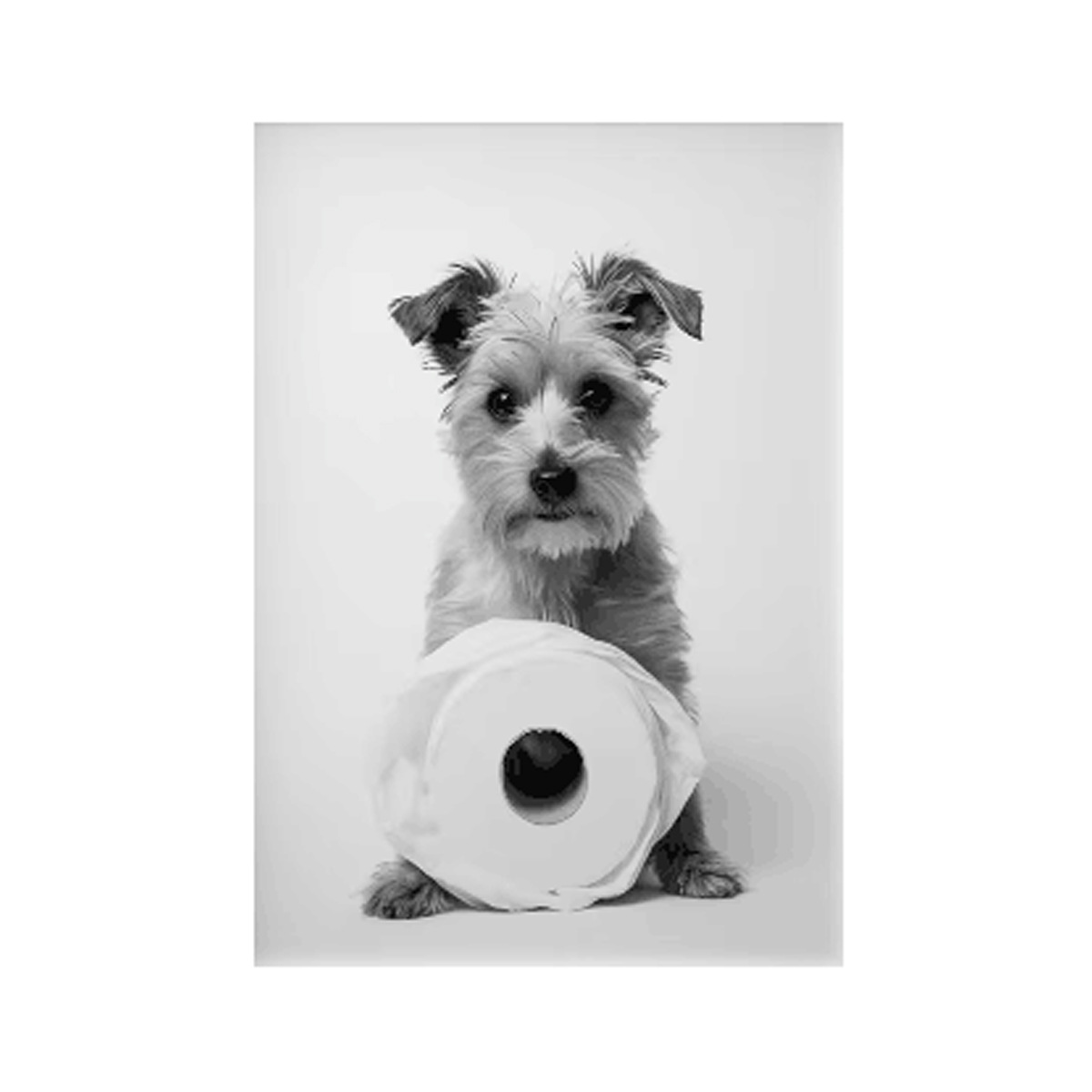 Negro y blanco adorables animales con papel higiénico póster búho perro lienzo pintura de pared arte baño sala de estar decoración del hogar