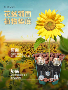 Ceramsite Pad Bottom Fleshy Earth Pottery Earth Grain Special Color Breathable Paving Stone Backfill Volcanic Stone Grain