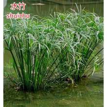 ˮ�񺵂���ļ�����ˮ�����������L܇�݃����՚����ԾGֲˮ�ؾG��