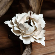 ���S�V�°�����ĵ����������մ����󻨾�������бP�ֹ��[����t