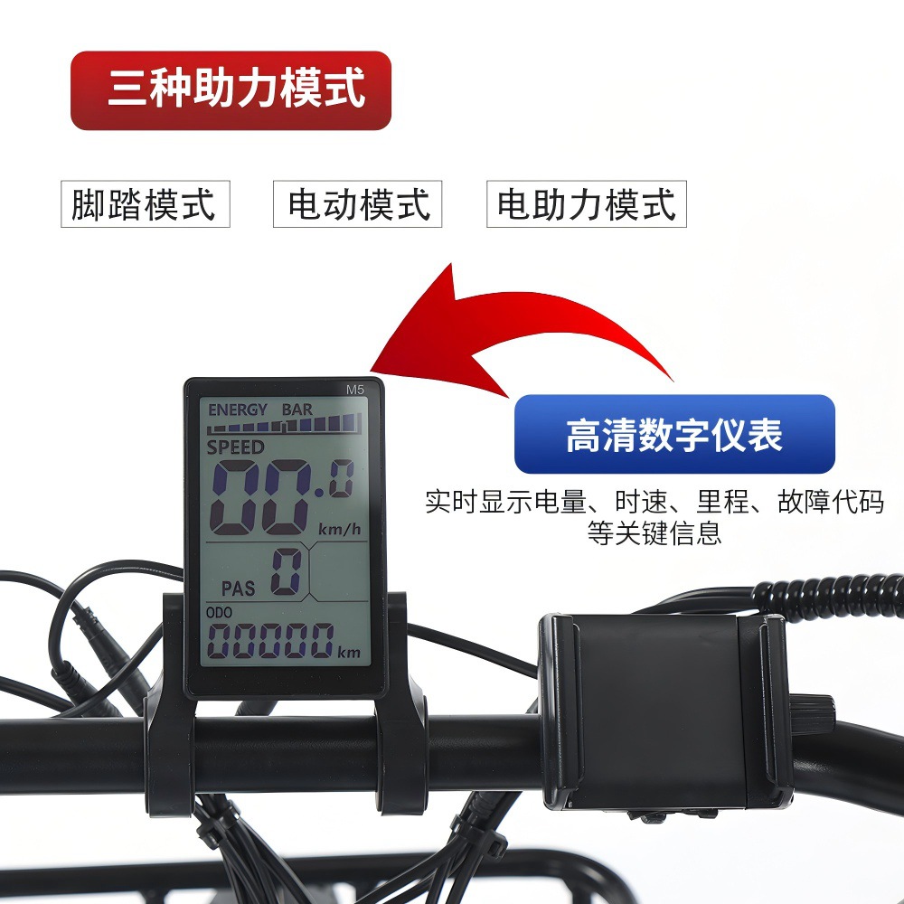 Folding Fat Tire Electric Tricycle Pedal Snow E-Bike
