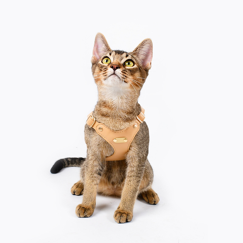 Dego工厂批发小狗狗猫咪胸背带宠物牵引绳猫项圈溜猫绳小型犬跨境|undefined