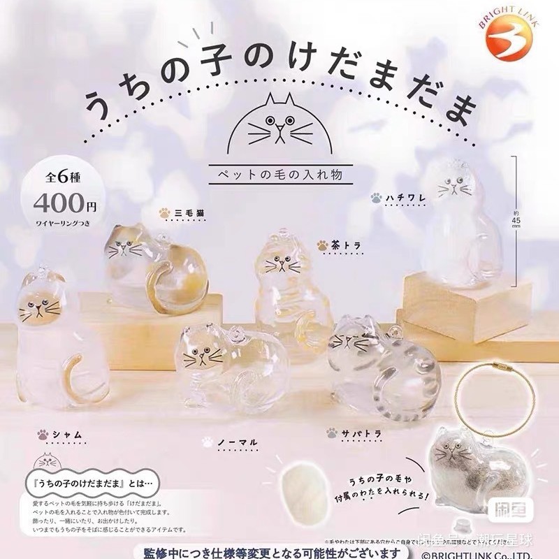 日本正規品 BRIGH LINK 透明猫毛収納ボックス チャーム ガシャポン 猫毛収納カプセル|undefined