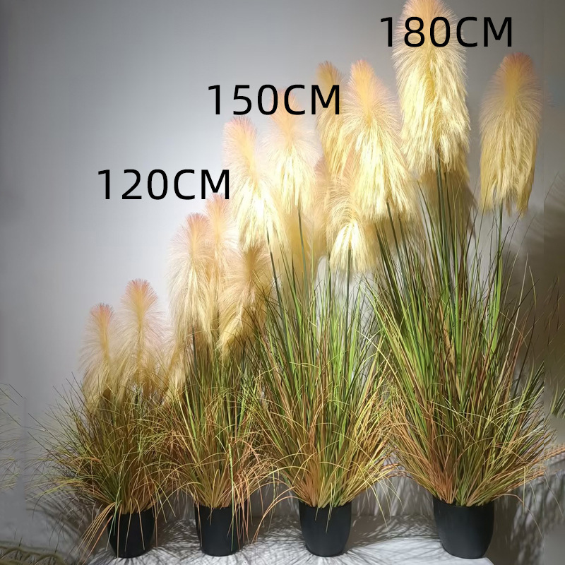 犬尾巴草シミュレーション花葦草偽草シミュレーション緑植毛虫猫尾草偽花箱装飾造景観|undefined