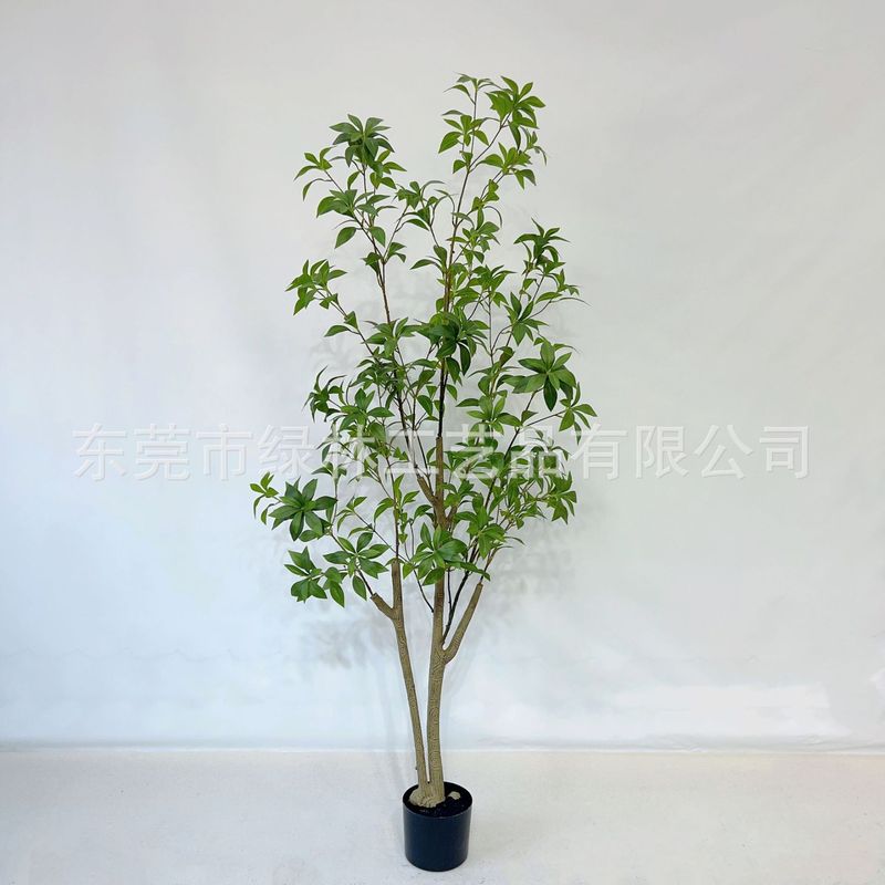 シミュレーション馬酔木着地鉢植え緑植物室内ショーウインドー造景装飾日本吊鐘ネット赤緑植|undefined