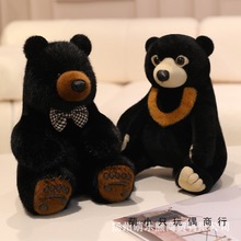 ܹпɐ۹żͯ˯Xëq߿羳l