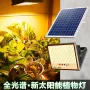 太阳光太阳能植物led补光灯