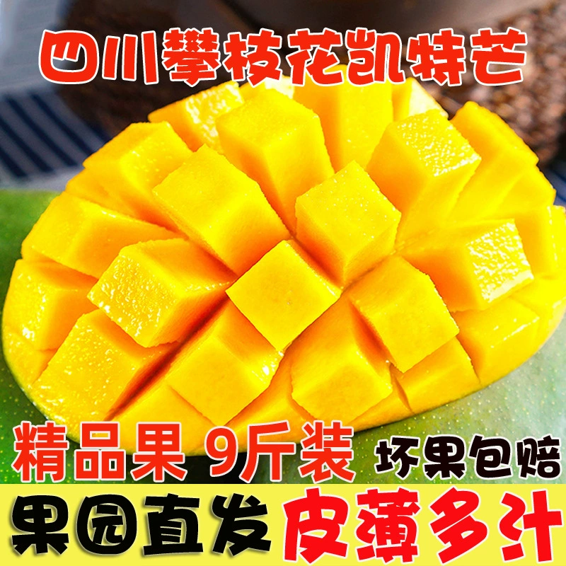 [Event] Сычуаньский Панчхихуа Кейт Манго, дропшиппинг 3/ <не1> Свежие и сладкие крупнолицевые манго, сезонные тропические фрукты