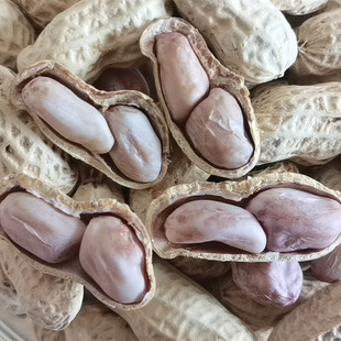 2025����ˮ������ɰו��������㎧�����r�̸��컨����؛С��ʳ