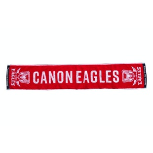 Manufacturer Custom Production of Cotton Yarn-Dyed Jacquard Sports Towels, Event Concert Peripheral Advertising Towels, Yarn-Dyed Towels