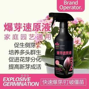 ↬ Plant Germination Hormone Original Solution Universal Nutrient Solution Succulent Bougainvillea Bud-Promoting Germination Leaf Cutting Nutrient Solution