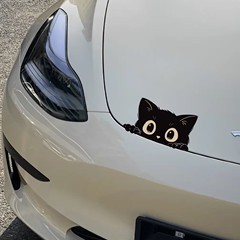 外国貿易の爆発物の傷は車を遮って、黒猫のステッカーのアイデアの車を盗んで防水の自動車の電動車のオートバイを貼ります。