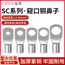SC窥口铜线鼻SC10/16/25/35紫铜接线端子镀锡铜鼻子铜线耳短线鼻