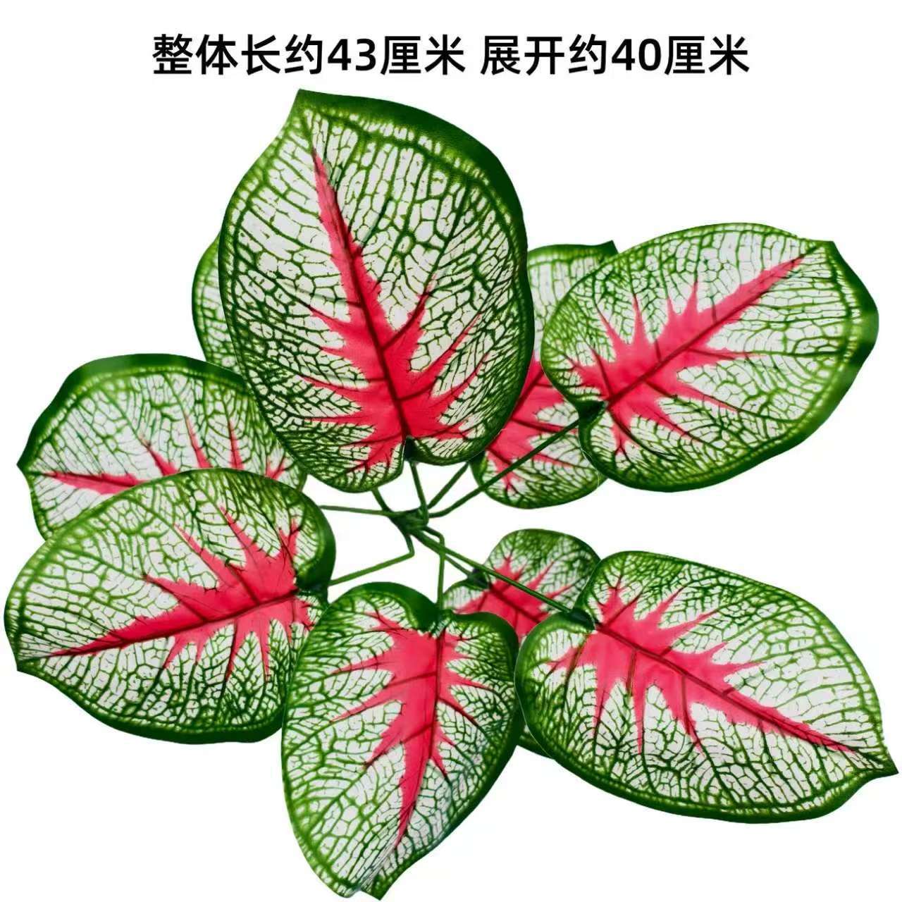 Nine-pronged large plant new model no. 19