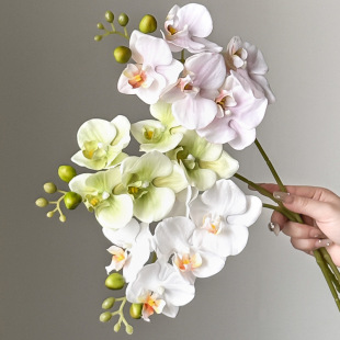 ���l10�^�����m���滨�ٻ��[�O��ƿ9�^7�^8�^5�^6�^һ�����l