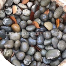 青灰色鹅卵石 海卵石 上海河卵石 园林铺路石 天然芝麻石厂家直销