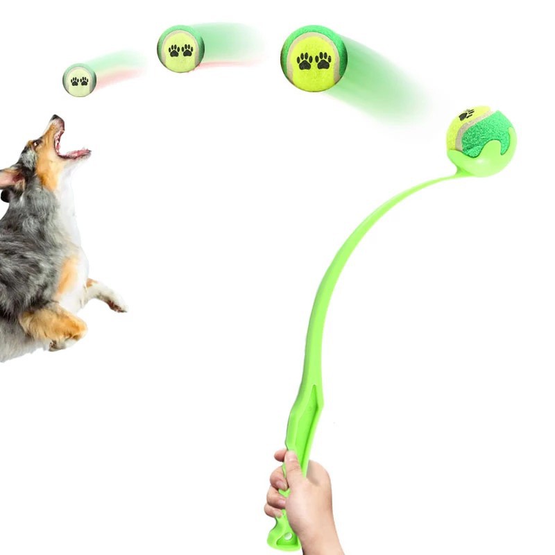 Pet Throwing Stick
