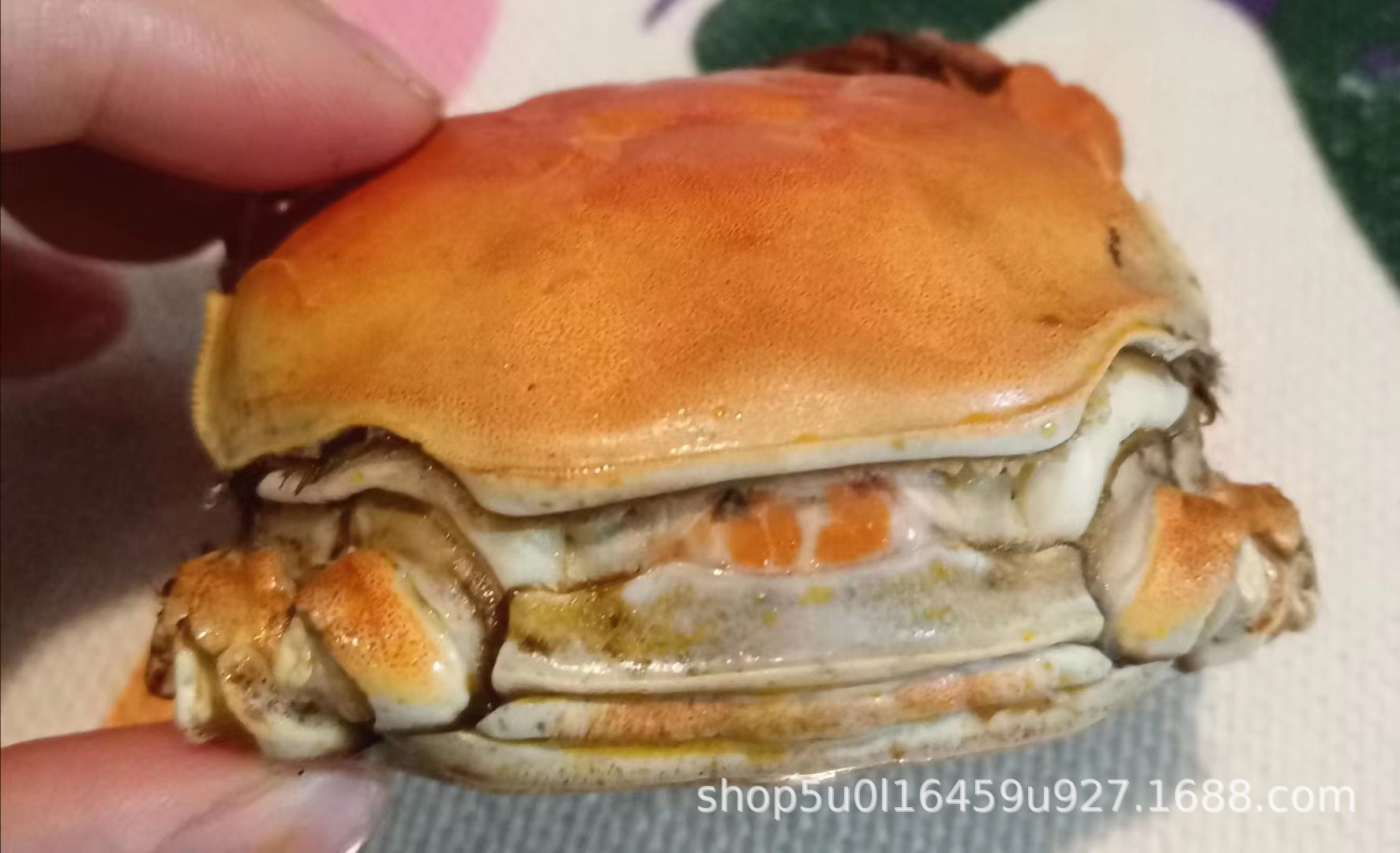 微信图片_20230907111355