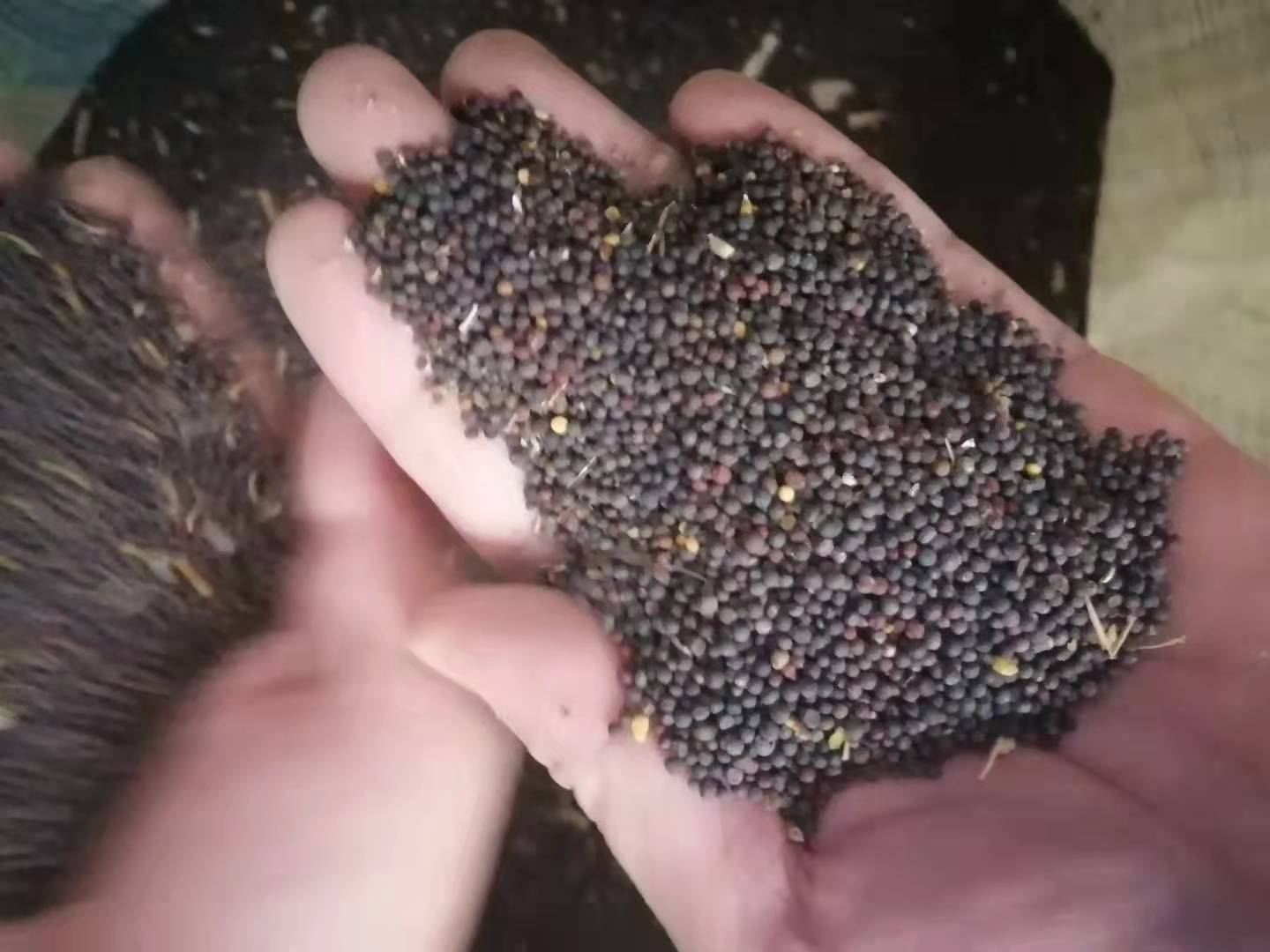 微信图片_20211010194128