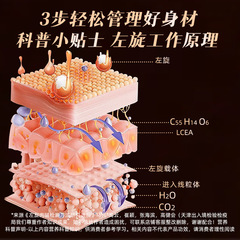 Běijīng Tóngréngtáng Lèixuán Ròujiǎn Hēikāfēi Fitness Exercise Weight Control Portable Instant Black Coffee