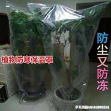 大型保温袋遮挡塑料膜挡风盆景植物保护罩灌木防寒布育苗棚薄膜用