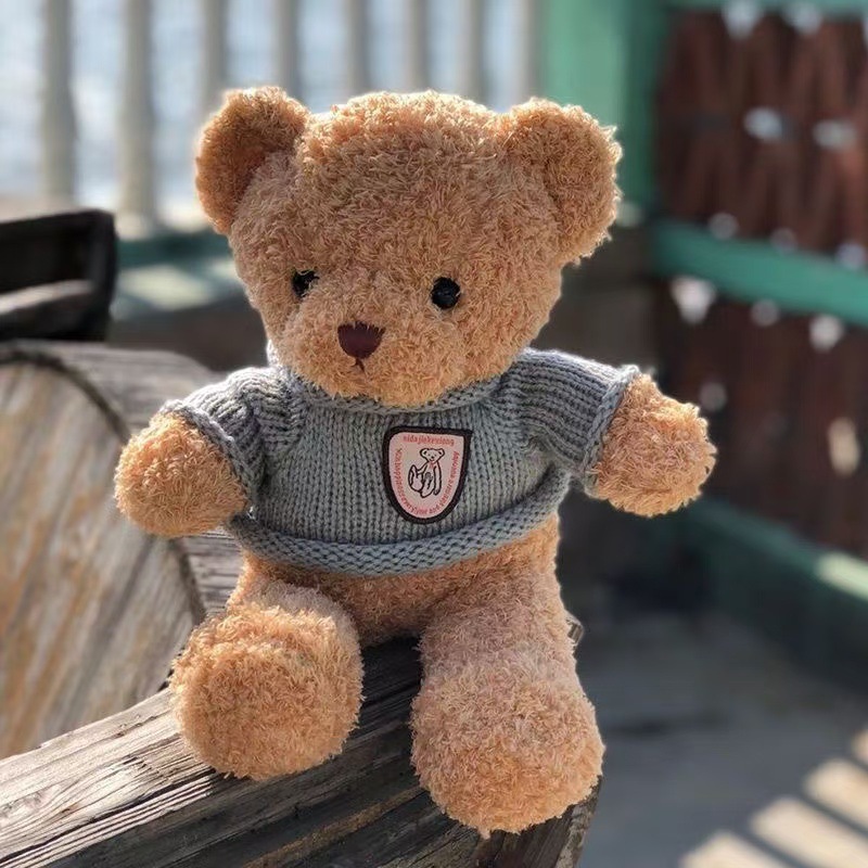 Internet Popular Cross-border Teddy Bear Plush Toy Cute Dress Little Bear Doll Rag Doll Birthday Gift Doll Internet Popular Cross-border Teddy Bear Plush Toy Cute Dress Little Bear Doll Rag Doll Birthday Gift Doll