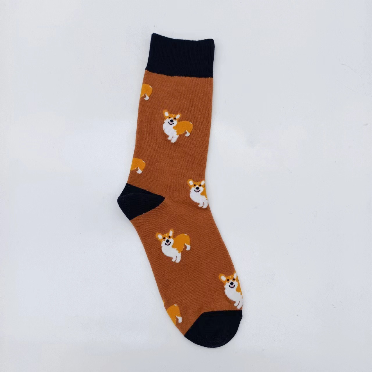 다크 브라운 코기