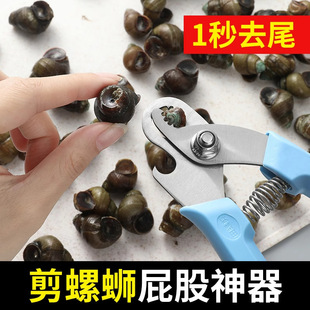 Stainless Steel Snail Scissors, Screw Tail Removal Pliers, Snail Lion Scissors, Non-Slip Handle, Labor-Saving Tail Removal Scissors, Snail Cutting Tools