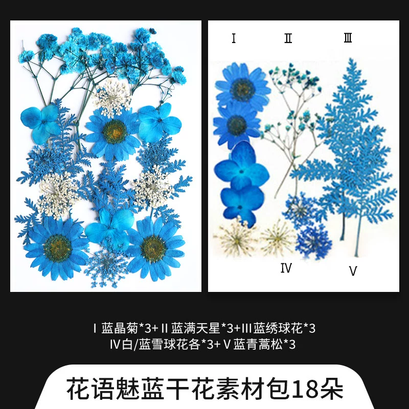 Material handmade, sample, transparent creative bottle, plant lamp, with embroidery