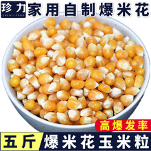 珍力爆米花玉米粒原料家用商用自制爆裂小玉米苞米粒休闲零食