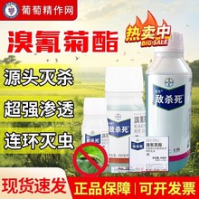 拜耳敌杀死 溴氰菊酯 蚜虫食心虫粘虫青虫棉铃虫菜青虫农药杀虫剂