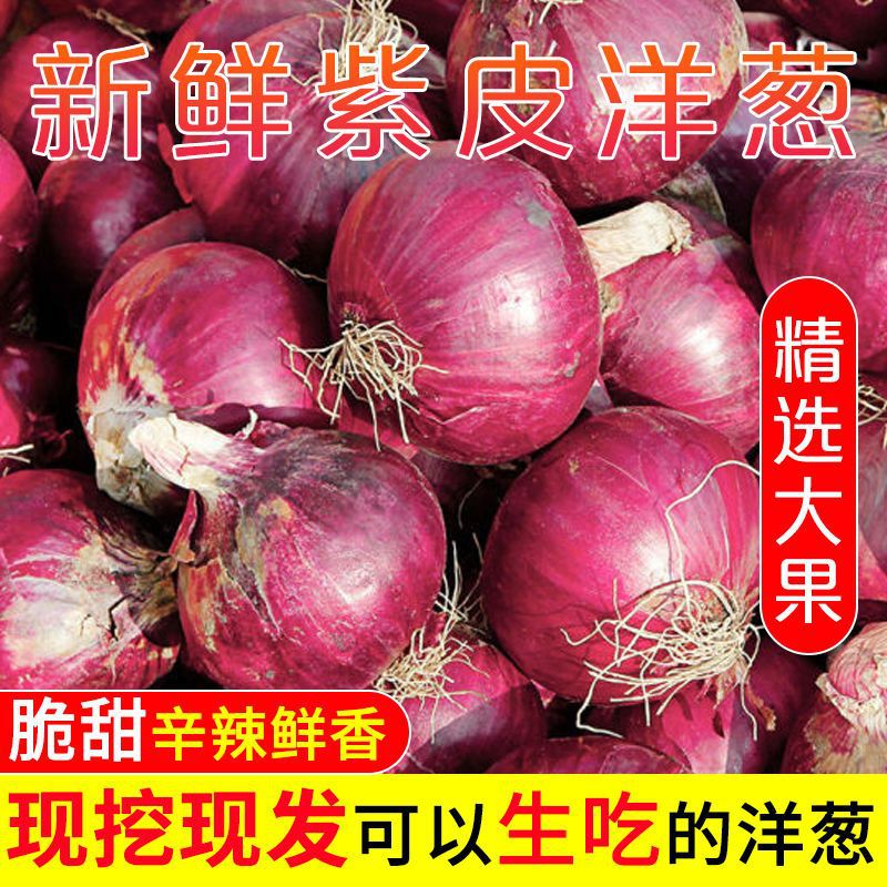 Onion 2021 fresh Purple Redskins deep purple Onion 1/5 Onion Farm wholesale Vegetables